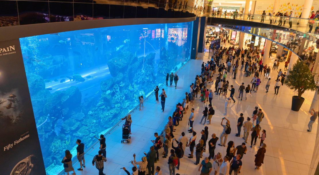 Discover and Roam - Top 5 Places to Visit in Dubai - Dubai Aquarium and Underwater Zoo