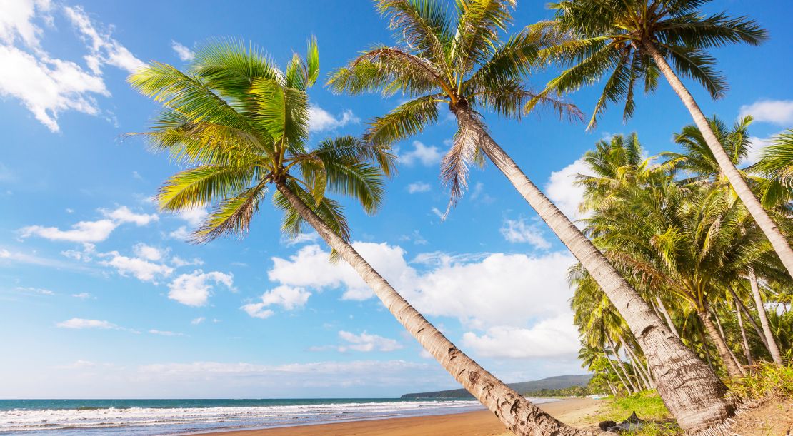 Discover and Roam - Top 5 Places to Visit in India - Goa