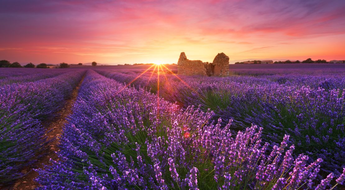 Discover and Roam-Places to Visit in France - Provence