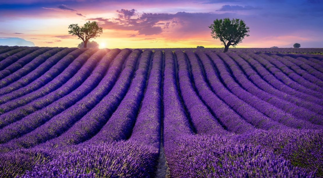 Discover and Roam - Provence as a Tourist Destination