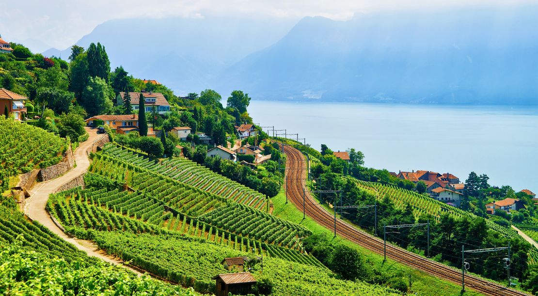 Discover and Roam - Things to Do in Around Lake Geneva - Stroll the Lavaux Vineyards - Slider