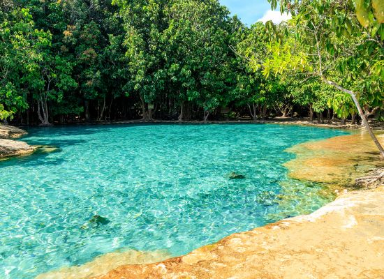 Discover and Roam - Swim in the Emerald Pool & Relax at Hot Springs